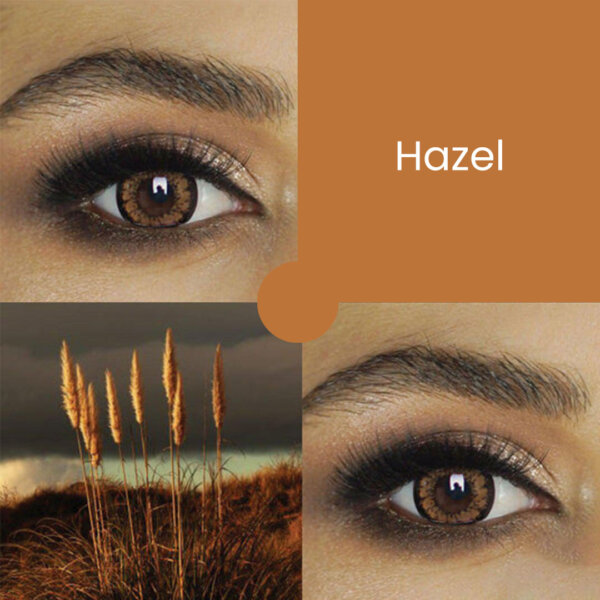 Flash Coloured Contact Lens Dolly Hazel